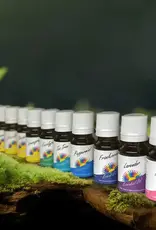 Essential Oil Colour Energy 5 ml