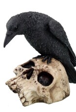 Skull Raven On 5" High Hand Painted Resin
