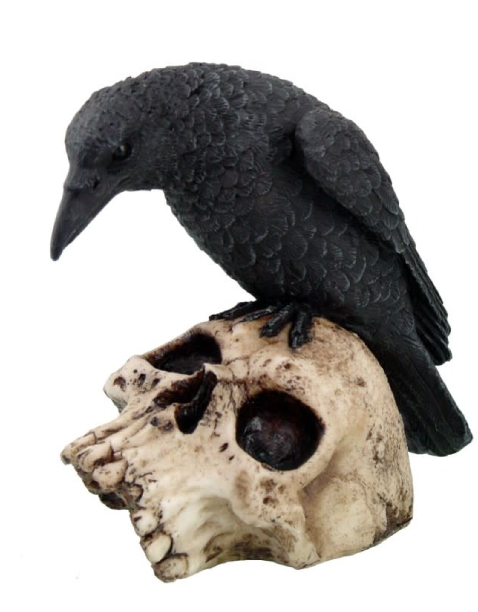 Skull Raven On 5" High Hand Painted Resin
