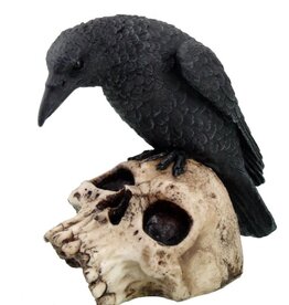 Skull Raven On 5" High Hand Painted Resin Skull Raven On 5" High Hand Painted Resin