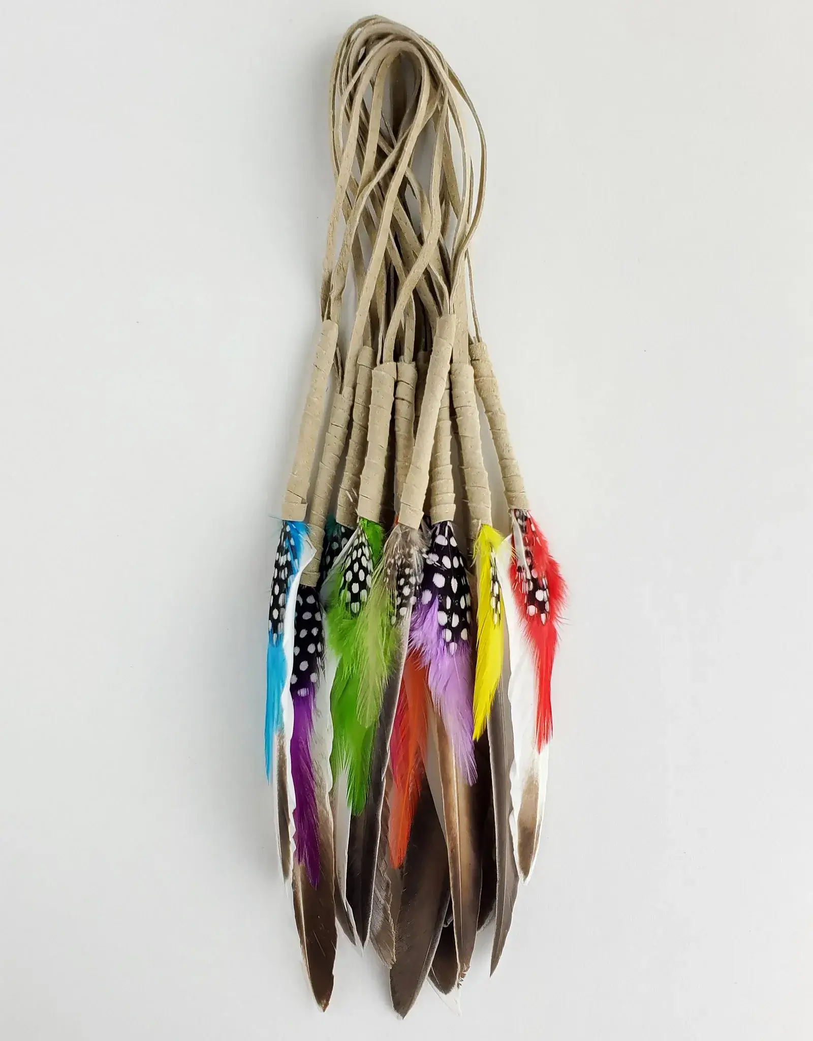 Smudging Feather with Coloured Hackle and Guinea Feathers