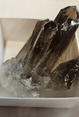 Smoky Quartz A+ Small Cluster - Brazil