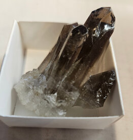 Smoky Quartz A+ Small Cluster - Brazil
