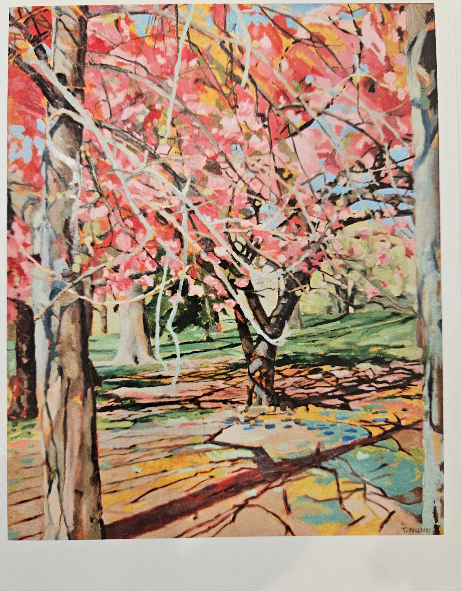 Tessa Nunn Artist Greeting Card