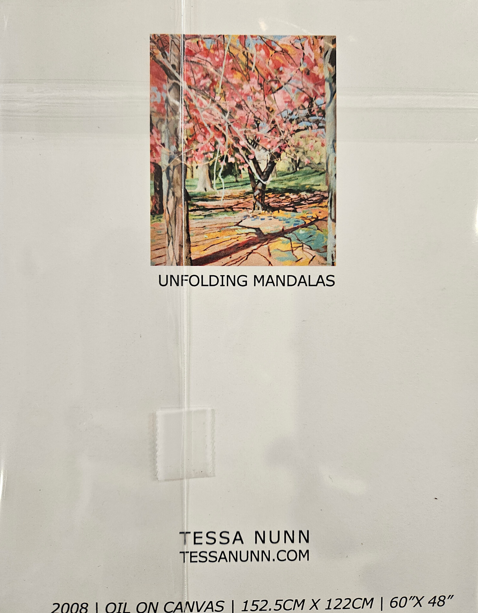 Tessa Nunn Artist Greeting Card