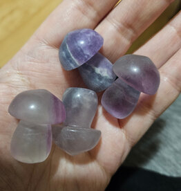 Fluorite Larger Mushroom