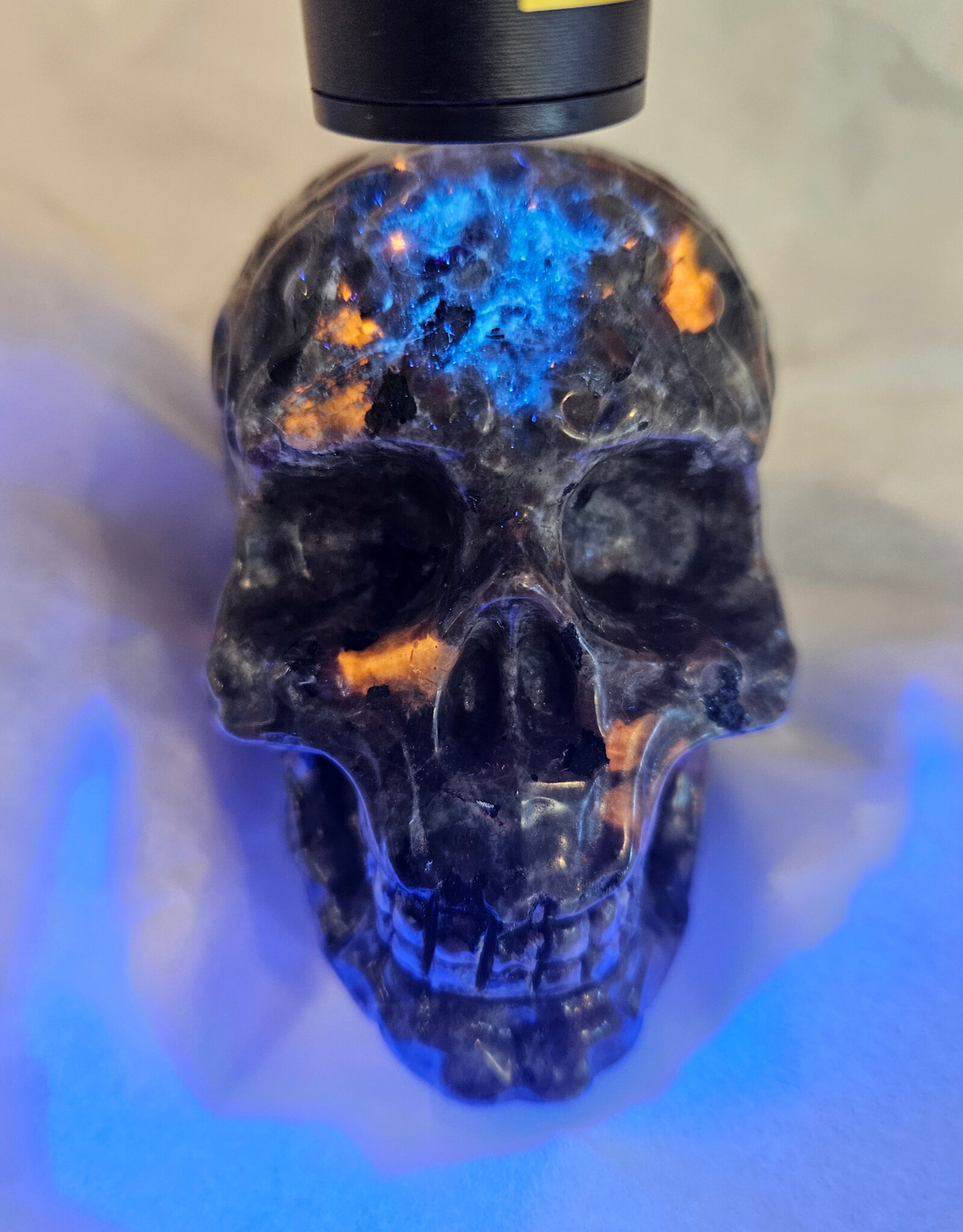 Yooperlite Skull