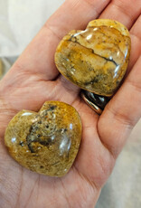 Picture Jasper from Hope BC Heart