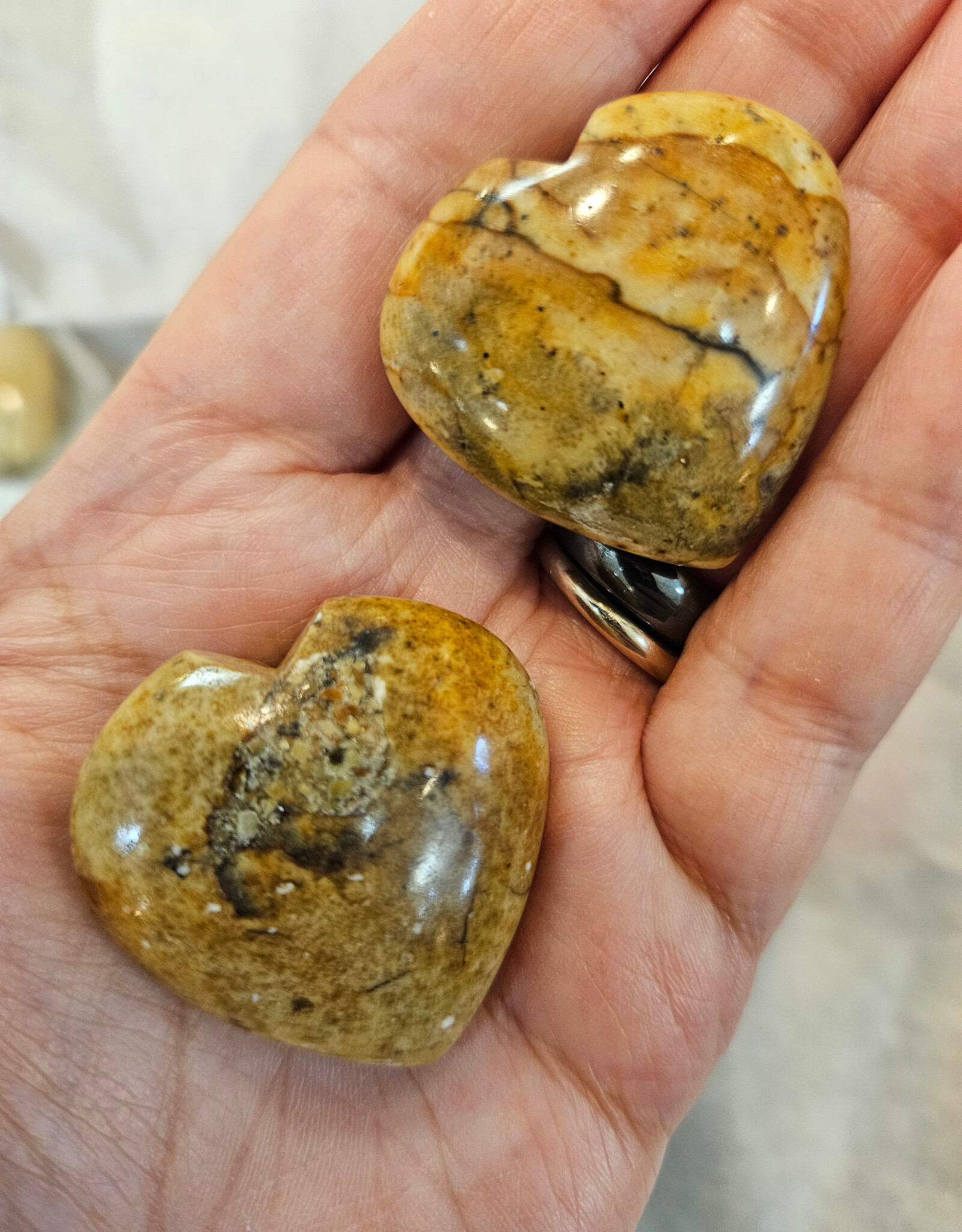 Picture Jasper from Hope BC Heart