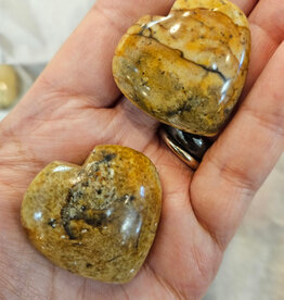 Picture Jasper from Hope BC Heart