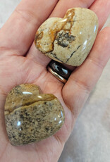 Picture Jasper from Hope BC Heart