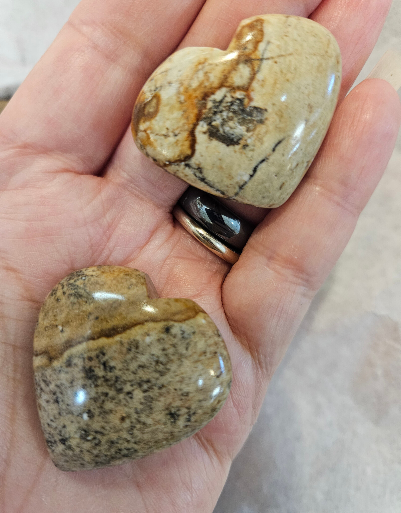 Picture Jasper from Hope BC Heart