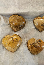 Picture Jasper from Hope BC Heart