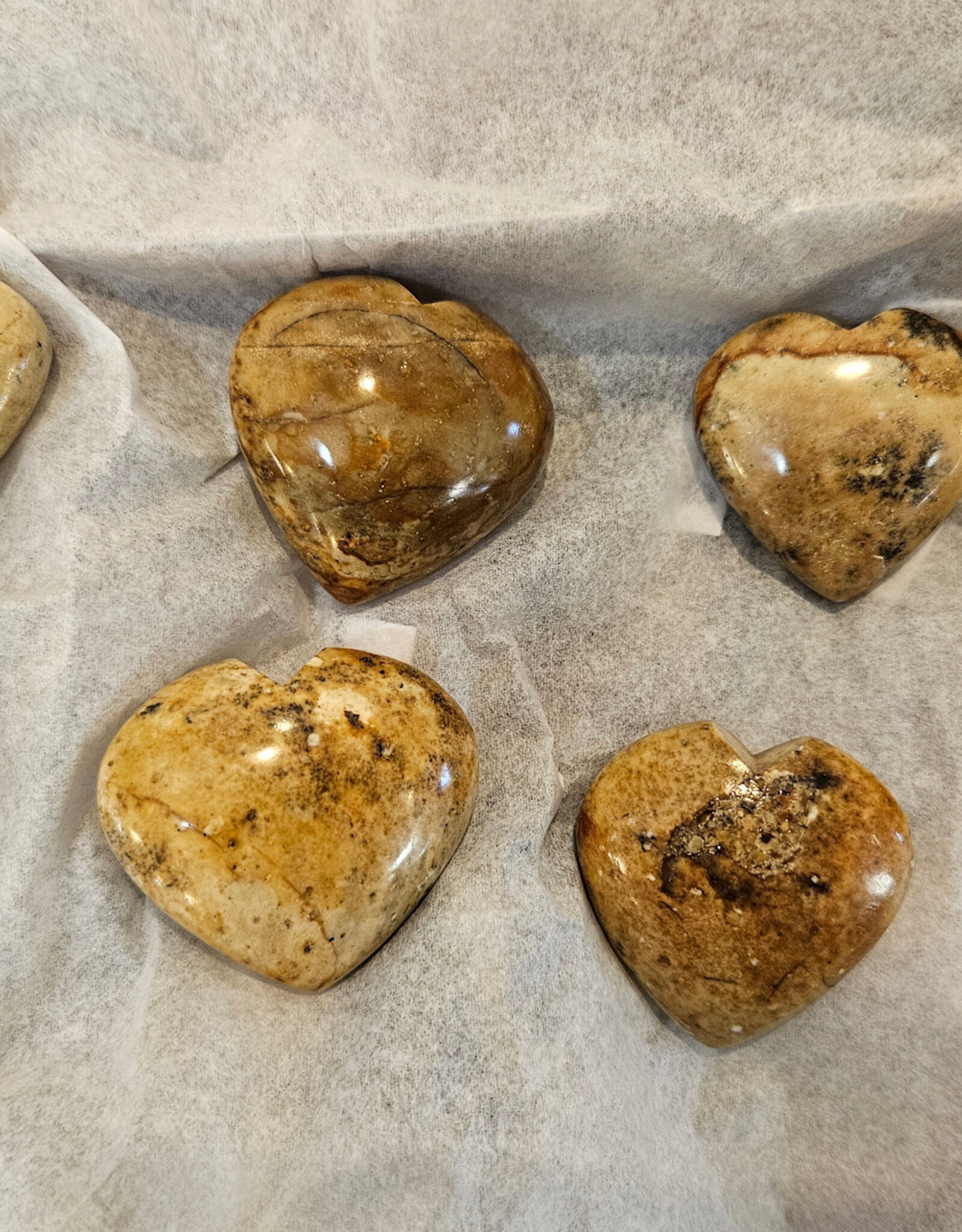Picture Jasper from Hope BC Heart