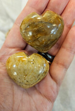 Picture Jasper from Hope BC Heart
