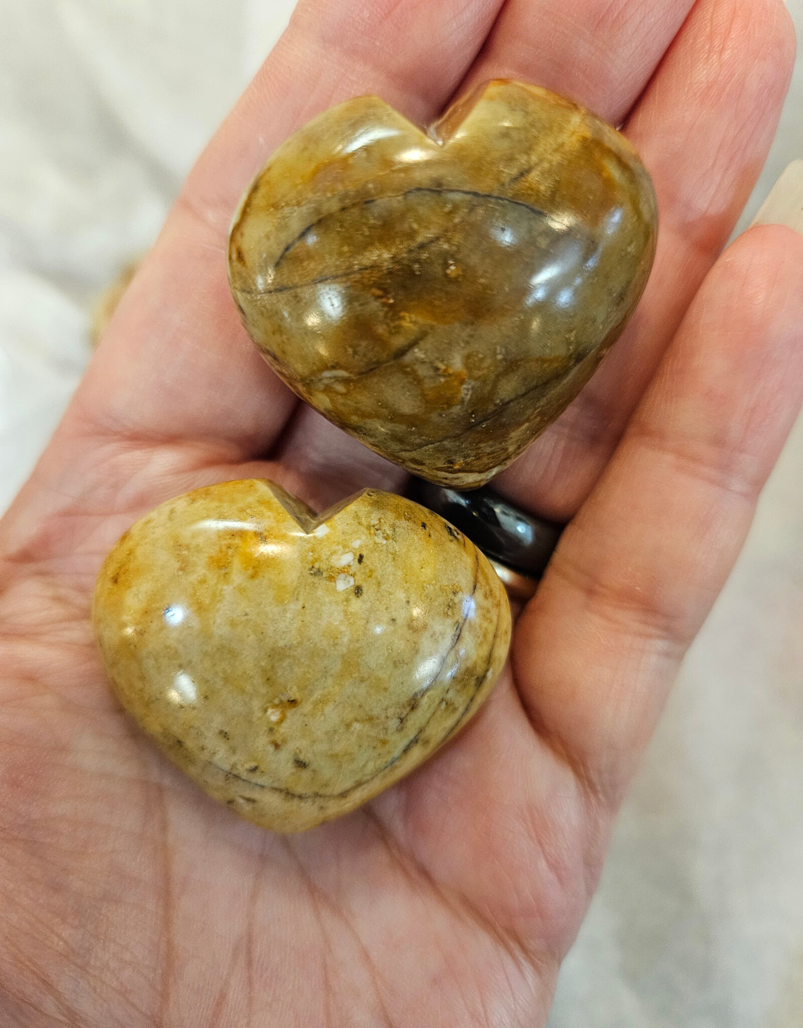 Picture Jasper from Hope BC Heart