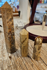 Picture Jasper from Hope BC Tower