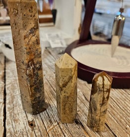 Picture Jasper from Hope BC Tower