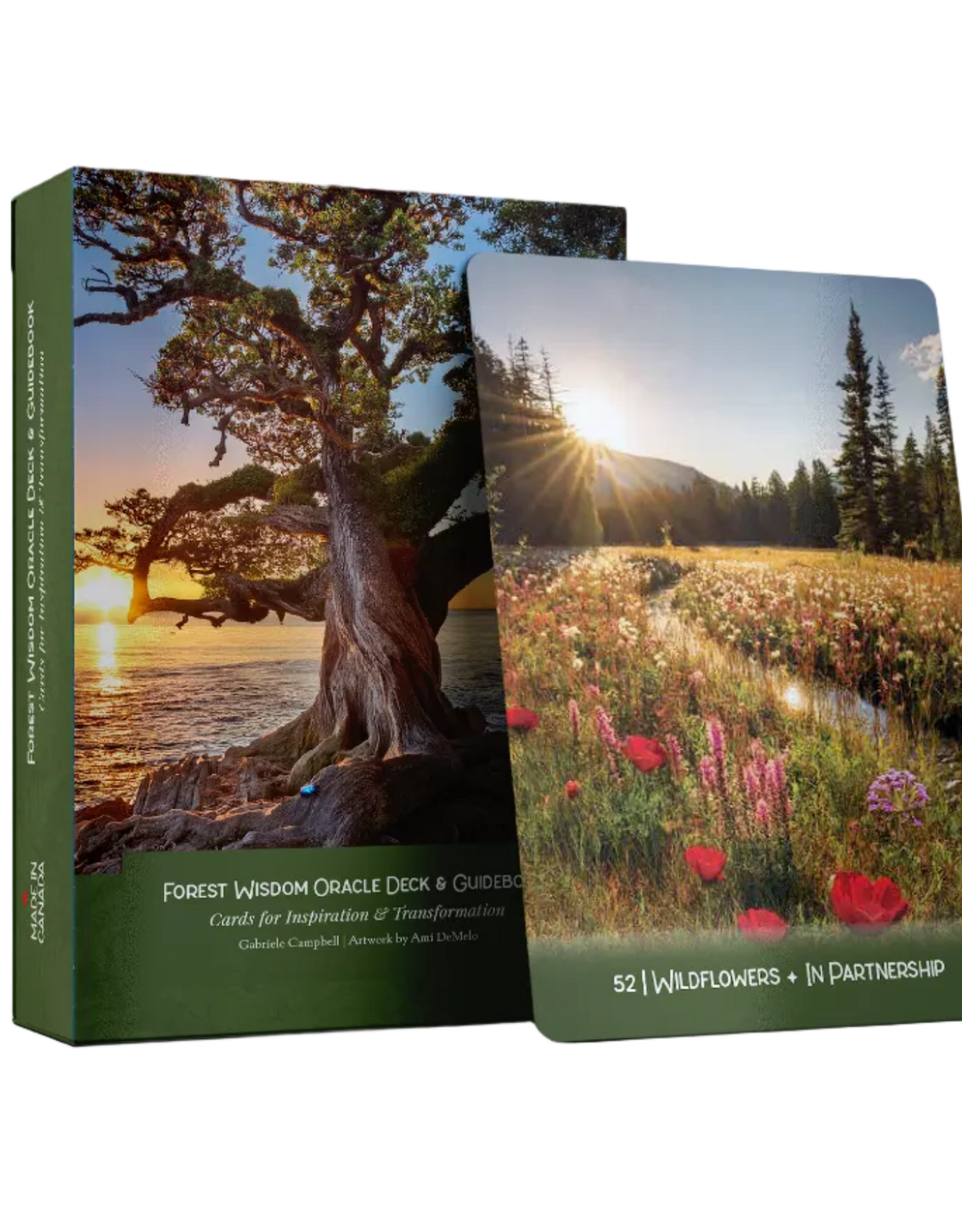 Forest Wisdom Oracle Deck - BC Made