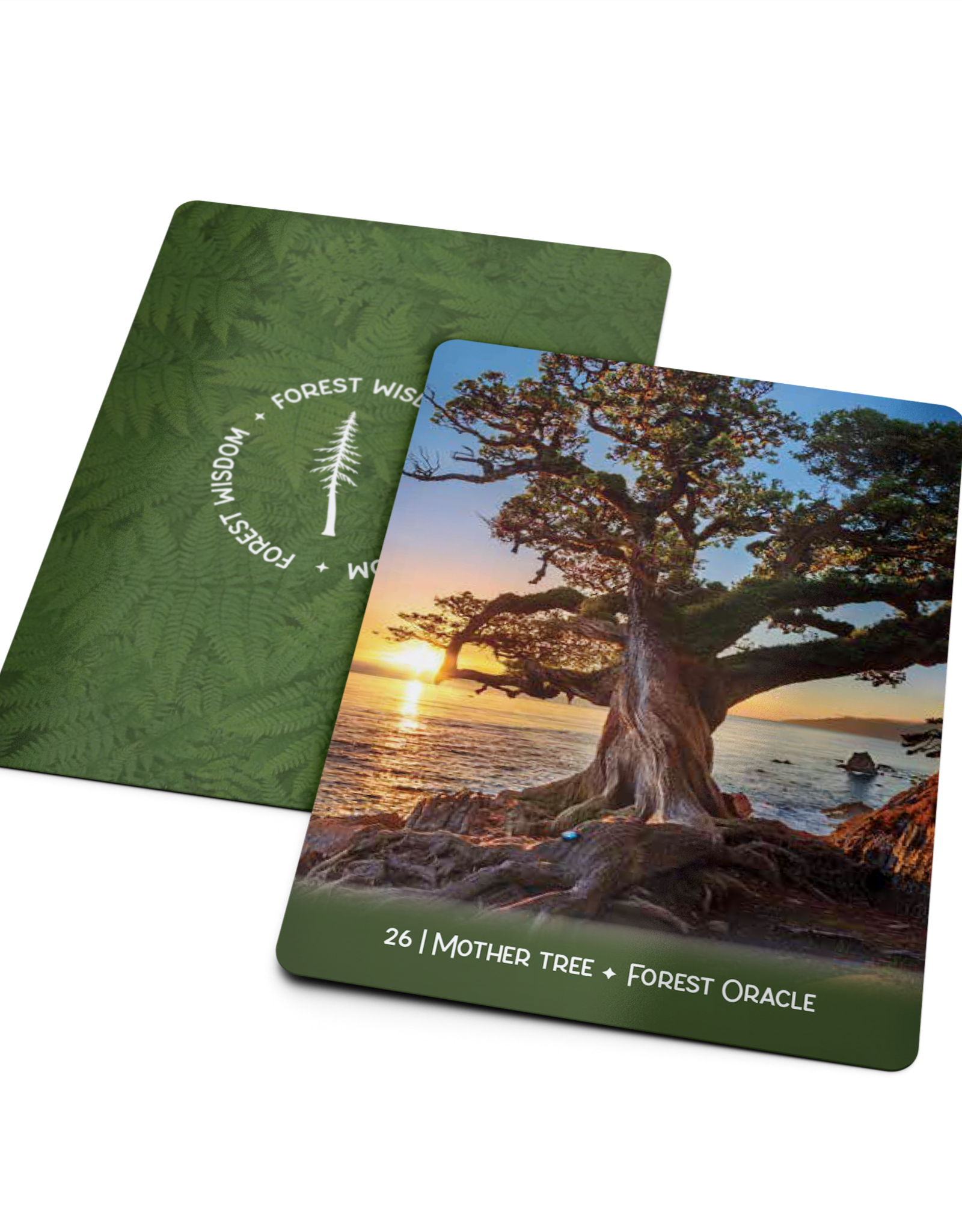Forest Wisdom Oracle Deck - BC Made