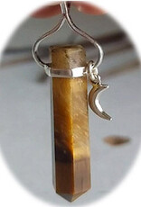 Tiger's Eye Point Pendant with Moon