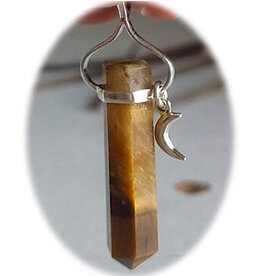 Tiger's Eye Point Pendant with Moon