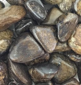 Family Rocks Bronzite tumbled stone