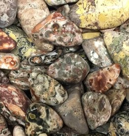 Leopardskin Jasper Tumbled Stone