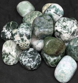 Tree Agate Large Tumbled Stone