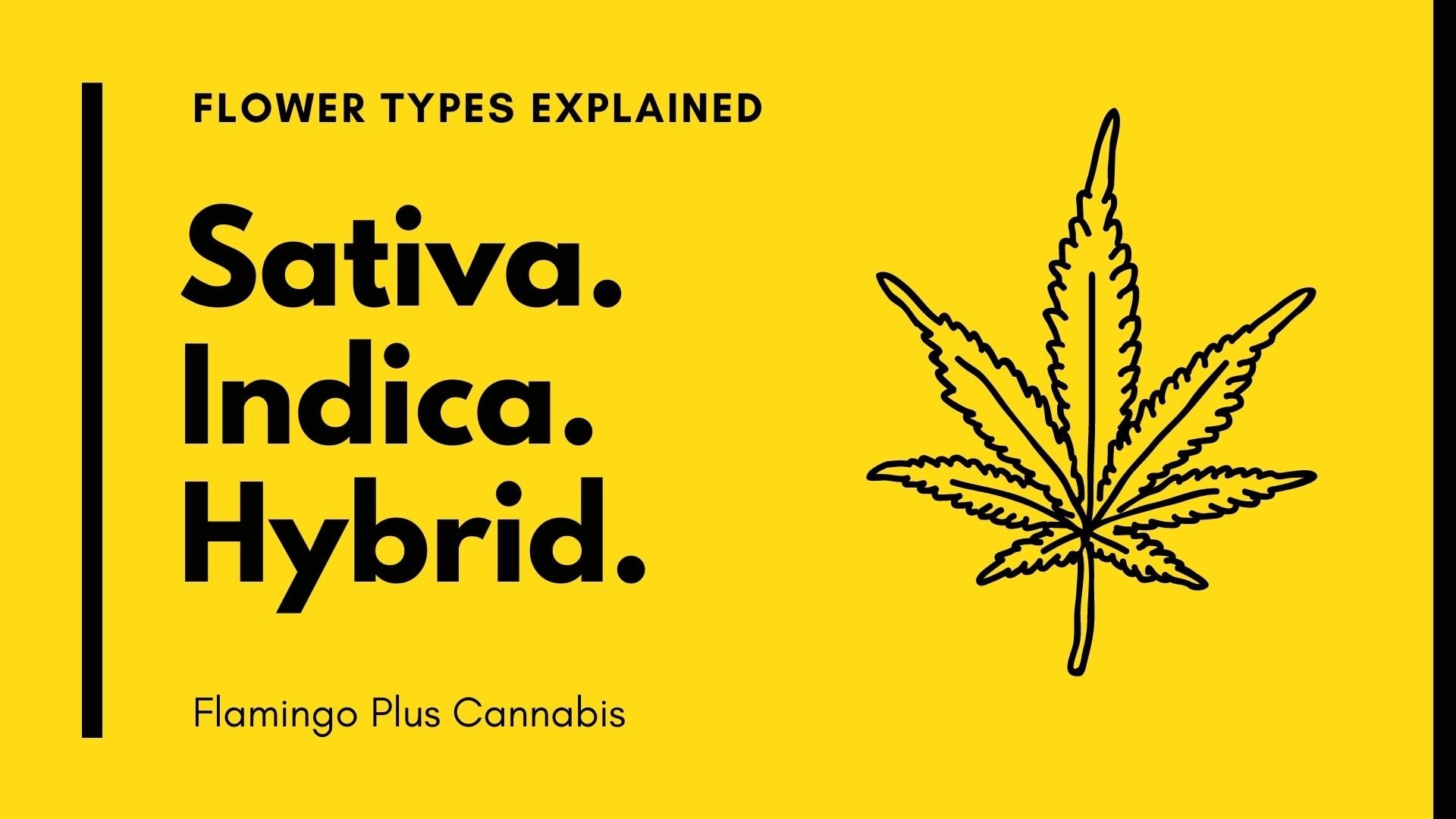 Sativa, Indica, Hybrid. What is what?