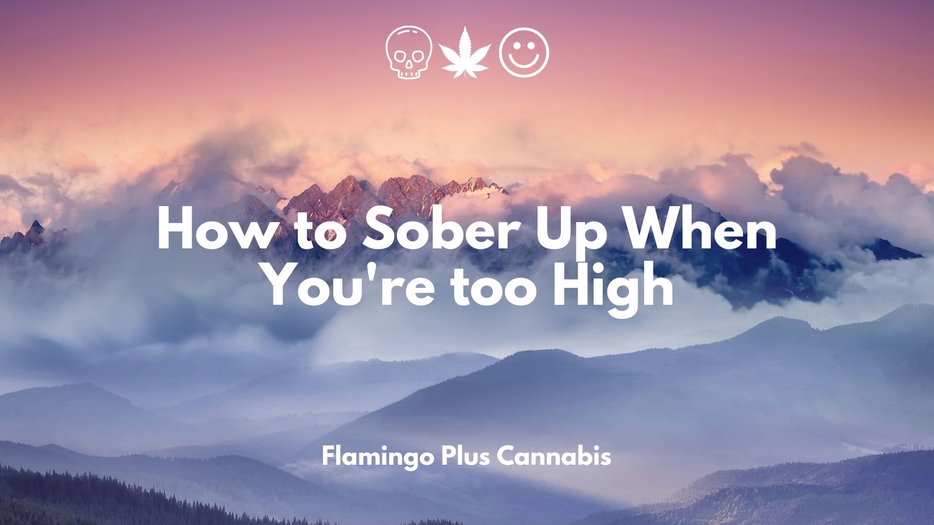 How to Sober Up When You're too High.