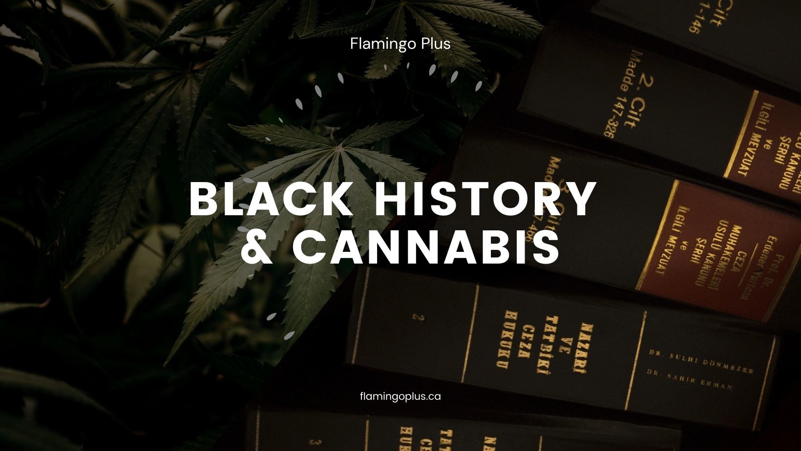 Cannabis and Black History