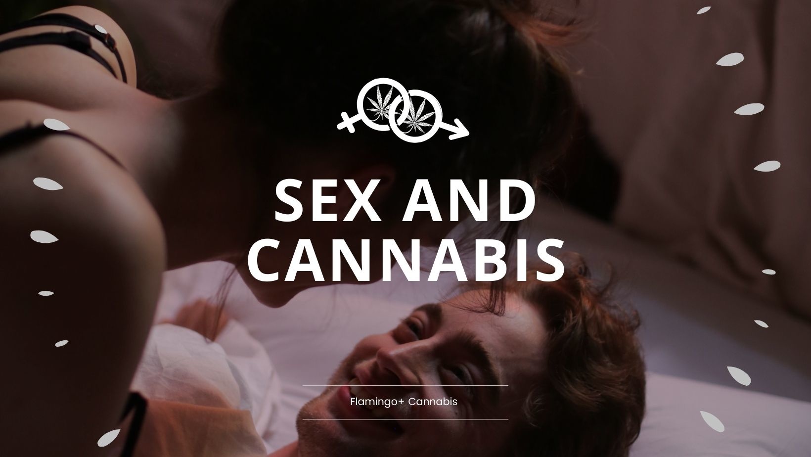  Cannabis & Sex