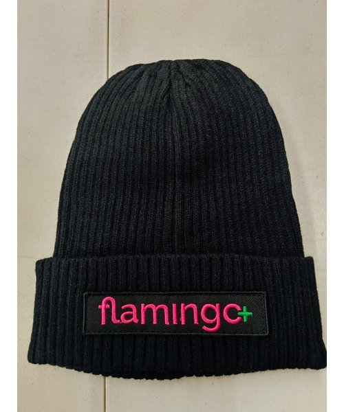 Flamingo+ Toque - Box Logo