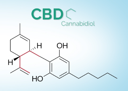 CBD: What is it, and how important is it?