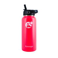 Flamingo Water Bottle 32oz