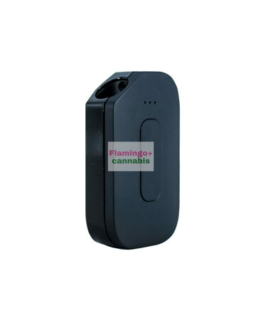 Vessel Vessel Compass RISE Obsidian