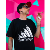 Flamingo+ T-Shirt "Levels"