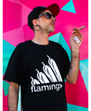 flamingo+ Flamingo+ T-Shirt "Levels" flamingo+ Flamingo+ T-Shirt "Levels"