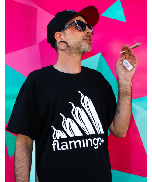 Flamingo+ T-Shirt "Levels"