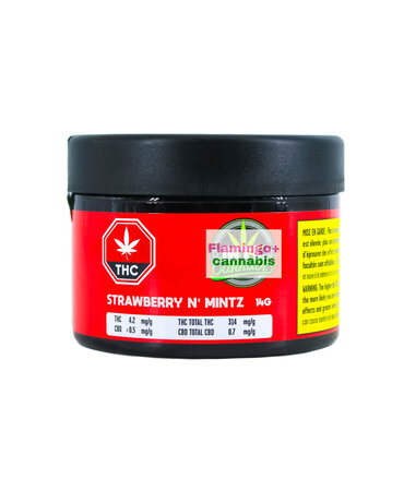 MTL Cannabis MTL Cannabis Strawberry Mintz Craft Sativa Flower 14G