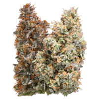 NUGZ Lemon Linx Craft Milled Sativa Flower 7G