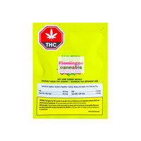 No Future Stupidly Sour Key Lime Cherry Hybrid Gummy 1X10MG
