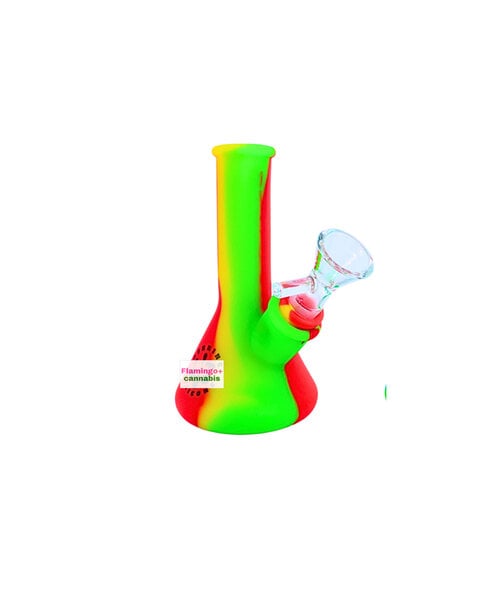 Lit Silicone 5" Beaker Water Pipe Rasta