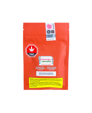 Chowie Wowie Chowie Wowie Crunchy Praline 1:1 Chocolate Chowie Wowie Chowie Wowie Crunchy Praline 1:1 Chocolate