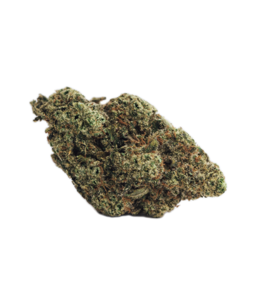 BOLD Munyunz Craft Sativa Flower 3.5G