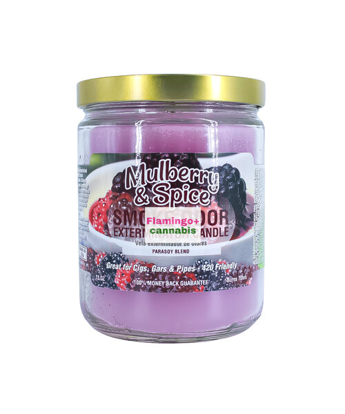 Smoke Odor 13oz Candle Mulberry & Spice