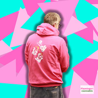 NEW 2024 Flamingo+ Hoodie  "Stoner Paws"