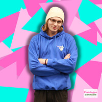 NEW 2024 Flamingo+ Hoodie  "Stoner Paws"