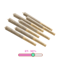 Woody Nelson Rainbow Driver Craft Sativa Pre-Rolls 7X0.5G